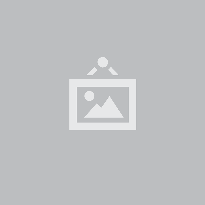 Pince a bec coude elect 1000v 1/2 r . vde 17- 200 // 20rv ** ORBIS