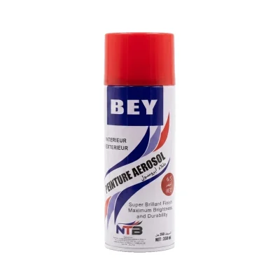 Aerosol ROUGE N° 6 S ( B/12PCS - C/48PCS ) ** BEY
